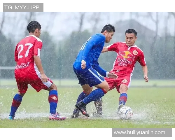 深圳足球队的拼搏历程与荣耀时刻全景纪实