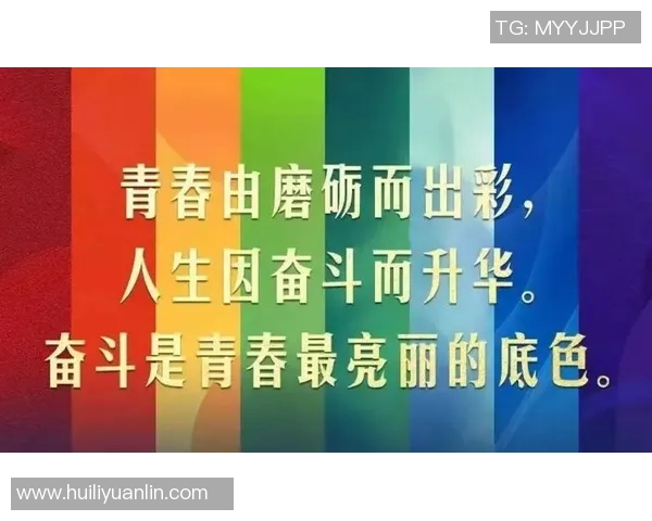 上海排球队的崛起之路：精英赛背后的奋斗与成长故事